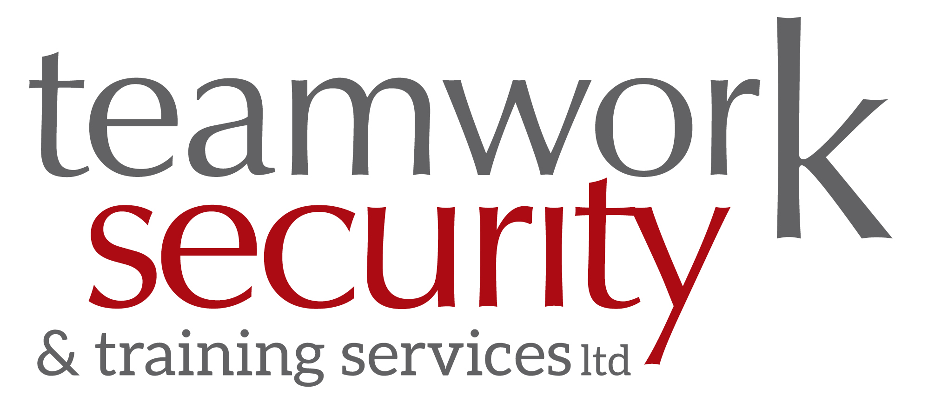Teamwork Security logo